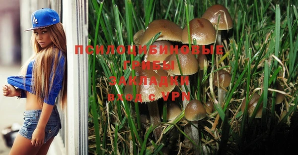 дмт Балахна