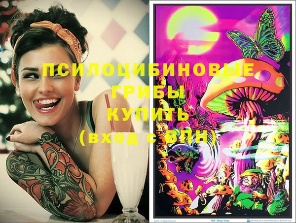дмт Балахна