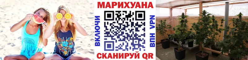 Бошки Шишки гибрид Пыть-Ях